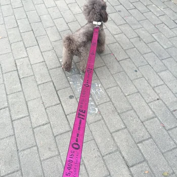 1,6 M Fashion Nylon Hund Fører,Hunde Snor Sæt Til Små og Mellemstore Hunde og Katte,Flere Farver 2