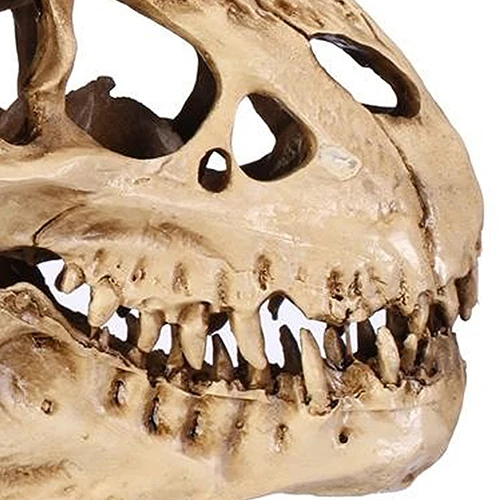 Harpiks Dinosaur Kraniet Fossile Undervisning Skelet Model Halloween Festival Indretning 0