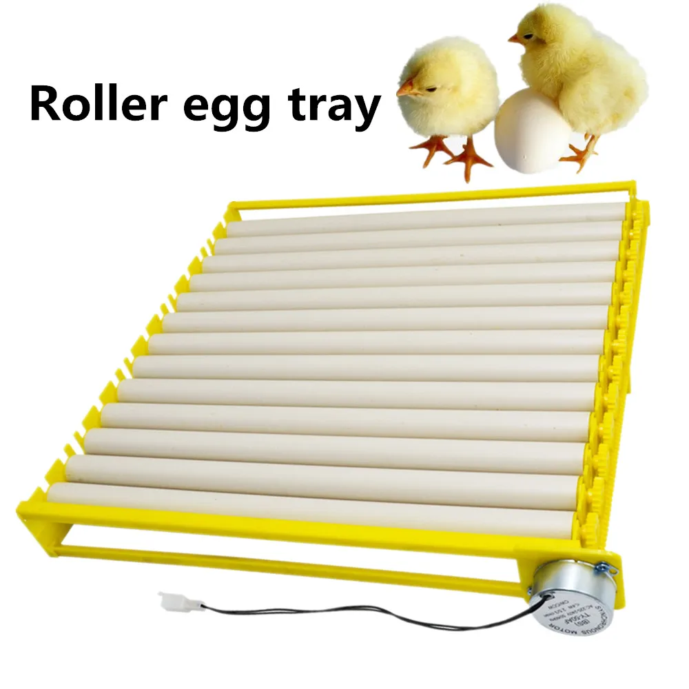 For 360 graders automatisk æg roller bakke æg, der udklækkes inkubator gård inkubation af vagtler fugl fjerkræ tilbehør ~ butik / www.gourmetconnection.dk
