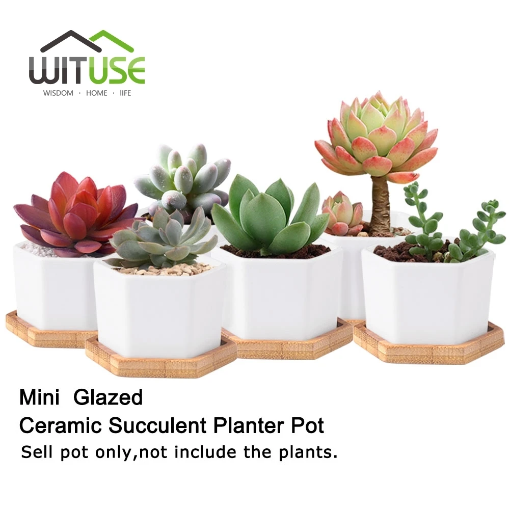 WITUSE Glaseret Geometri Hvid Keramik Sukkulent Plante Potten Bonsai Planter Desktop Porcelæn Flower Pot Hjem Decor(1 Pot + 1 fod) 1