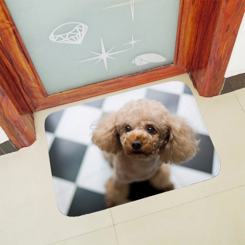 Kvalitet Anti slip dørmåtte for indgangsdøren måtter udendørs indendørs foran døren mat Tykkere flannel 40x60cm 50x80cm hunde trykt QXB5 1