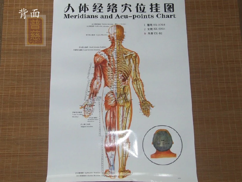 3pcs/set 47*69 wallmap øre akupunktur kort ustration af akupunkturpunkter kort mandlige krop meridianer og ACU-point diagram gratis 1
