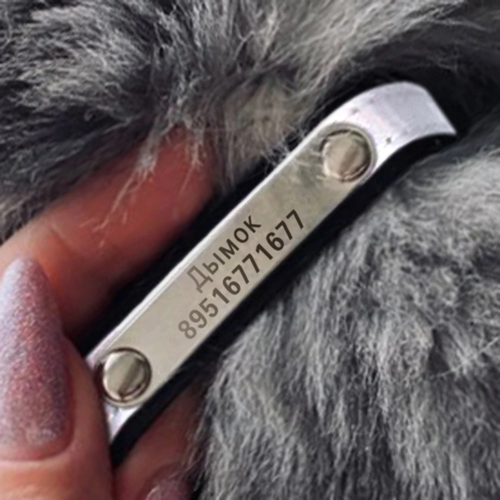 Reflekterende Pet Krave Gravering Kat ID-Tag Quick Release Katte Halsbånd Tilpasset Halskæde Til Kæledyr Hund Laser Gravør Dog Necklet 2