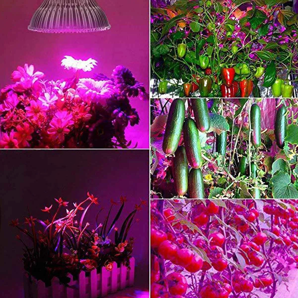 E26/E27 200W 64 LED Plant Grow Light lampe Hydroponiske Fulde Spektrum Blomst Blomstre Indendørs frø Voksende Lys Pærer Hydroponics 3