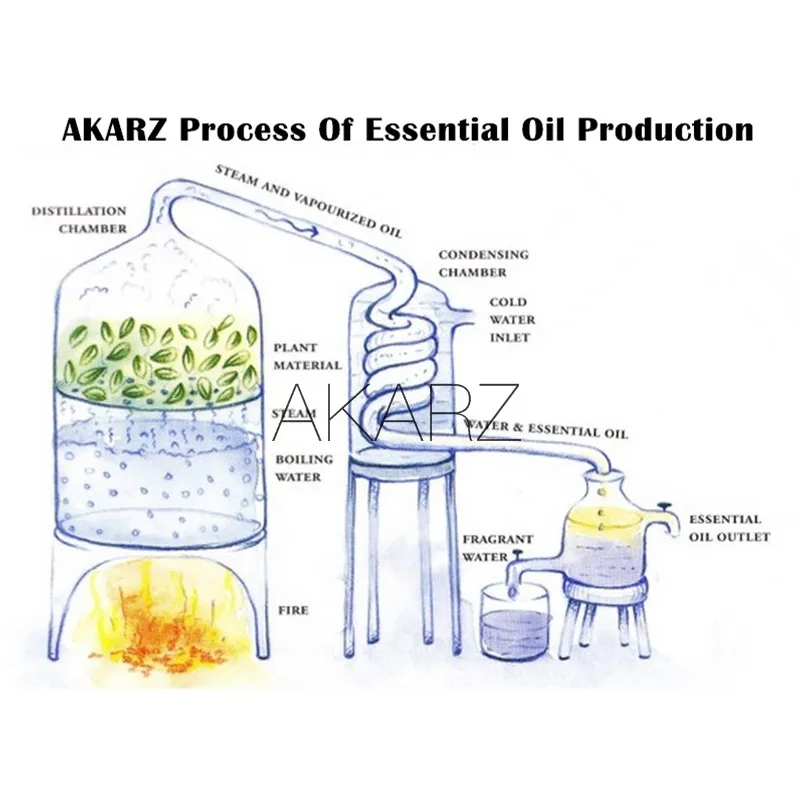 AKARZ naturlige Freesia æterisk olie aromatiske for aromaterapi diffusorer krop hudpleje aroma Freesia olie 3