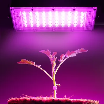 50W LED vækst Lys Fulde Spektrum Chip 220V Phytolamp For Planter Telt Floodlight LED Phyto Lampe Voksende Max Blomster Sætteplante 0