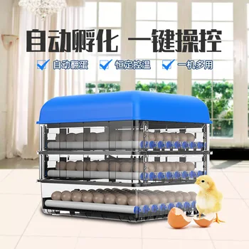 56 pc ' er fuldautomatisk Inkubator Husstand Æg Inkubator Kylling, And, Avls-En-nøgle Operation Temperatur, Fugtighed Kontrol