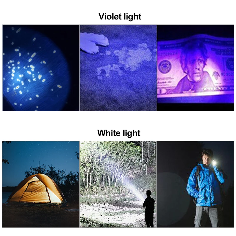 Zoomable 4 Tilstande 365nm UV+Hvid LED Pære Lommelygte 2 i 1 Scorpions Fakkel Inspicere Lys For at Afsløre Fund Hund Plet 4