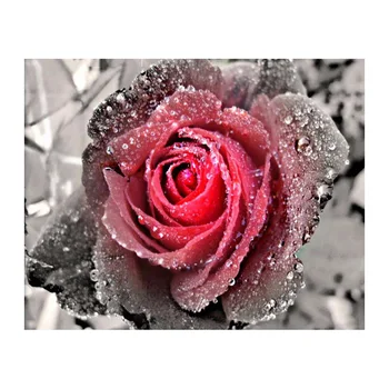 5D DIY Diamant Maleri Blomst, Rose Broderi Diamant Maleri Cross Stitch Rød Rose Blomstret Rhinestone Mosaik Maleri WZ 0