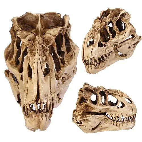 Harpiks Dinosaur Kraniet Fossile Undervisning Skelet Model Halloween Festival Indretning 5