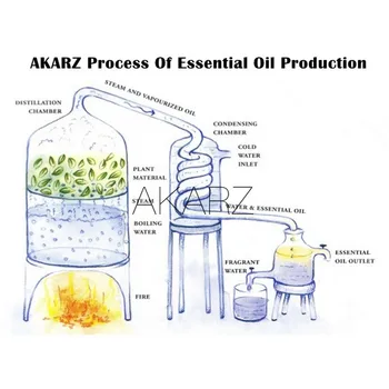AKARZ naturlige Freesia æterisk olie aromatiske for aromaterapi diffusorer krop hudpleje aroma Freesia olie 3