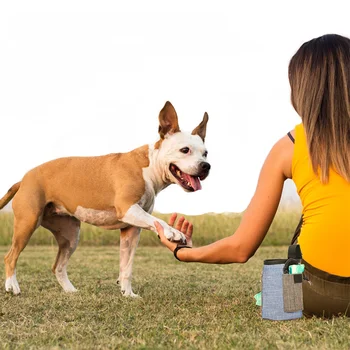 Bærbare Dog Behandle Taske Store Rum Talje Taske Til Udendørs Træning Gå Til At Udføre Legetøj Mad Poop Tasker Pet Hundetræning, Foder Taske 0