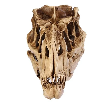 Harpiks Dinosaur Kraniet Fossile Undervisning Skelet Model Halloween Festival Indretning 3