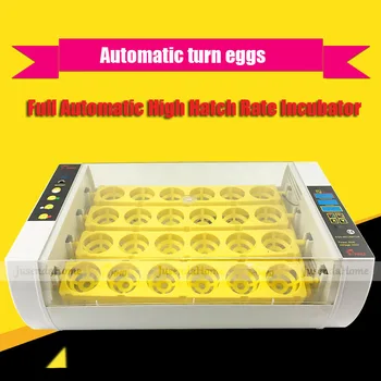 HHD Nyeste Gård Automatisk Kylling Æg Inkubator Rugeri Udstyr inkubator 24 æg Maskine Hatchers Kina Salg Vagtler Brooder 4