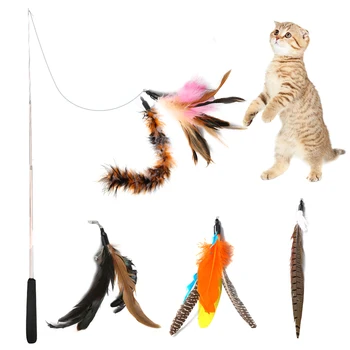 Interaktive Fjer Kat Legetøj Pet Cat Toy Fiskestang Udtrækkelig Fjer Sjove Kat Pole Fem Udskiftning Af Hoved Interaktivt Legetøj 3