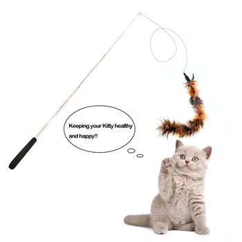 Interaktive Fjer Kat Legetøj Pet Cat Toy Fiskestang Udtrækkelig Fjer Sjove Kat Pole Fem Udskiftning Af Hoved Interaktivt Legetøj 5