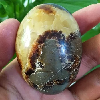 Natursten septarian ceystal palm helbredende krystaller Dekorativ samling sten og krystaller 1