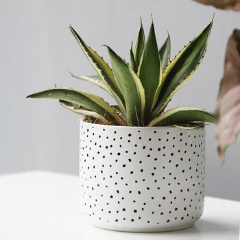 Nordisk Runde Pletter, Keramik Flower Pot Indendørs Desktop Hvid Porcelæn Saftige Urtepotte Have Moderne Hjem Decor 1