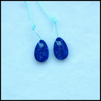 Nugget fashion kvinder øreringe smykker,sempercious sten,Lapis Lazuli mode kvinde Øreringe 14x9x2mm,0,8 g 8267