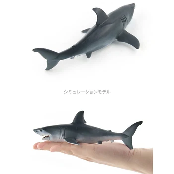 Ocean-Havets Liv, Model Legetøj Simuleret Haj-Action Figurer, Dyr, Legetøj Figur Pædagogisk Legetøj Gave til Børn i Hjemmet Indretning 3