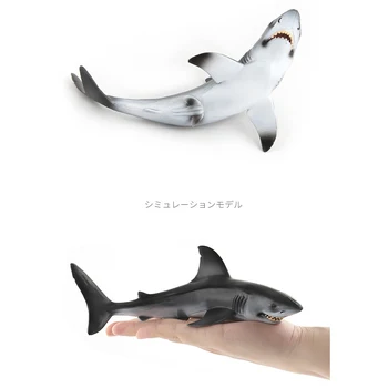 Ocean-Havets Liv, Model Legetøj Simuleret Haj-Action Figurer, Dyr, Legetøj Figur Pædagogisk Legetøj Gave til Børn i Hjemmet Indretning 5