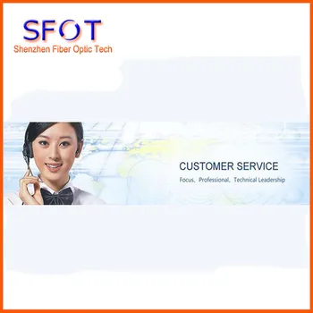 Professionel Custom Service (lyskilde pris forskel)
