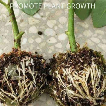 Vækst Pladsen til Starter for Skære -, Vækst-Medium for Akvatiske Planters Vækst Medier-Botaniske Root Controller 2