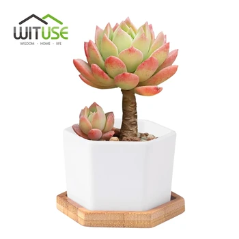 WITUSE Glaseret Geometri Hvid Keramik Sukkulent Plante Potten Bonsai Planter Desktop Porcelæn Flower Pot Hjem Decor(1 Pot + 1 fod) 0
